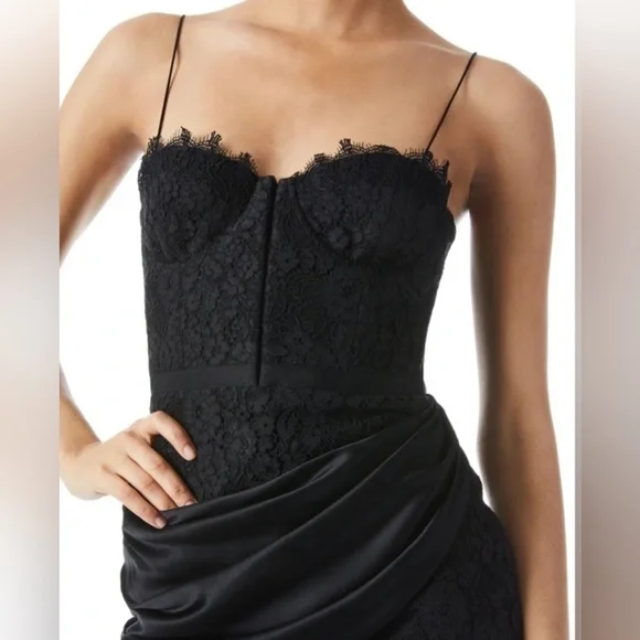 Alice and Olivia Women's Black Rose Bustier Mini Dress Size 8,4